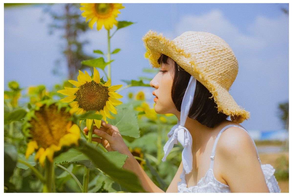 Girasol rompecabezas en línea