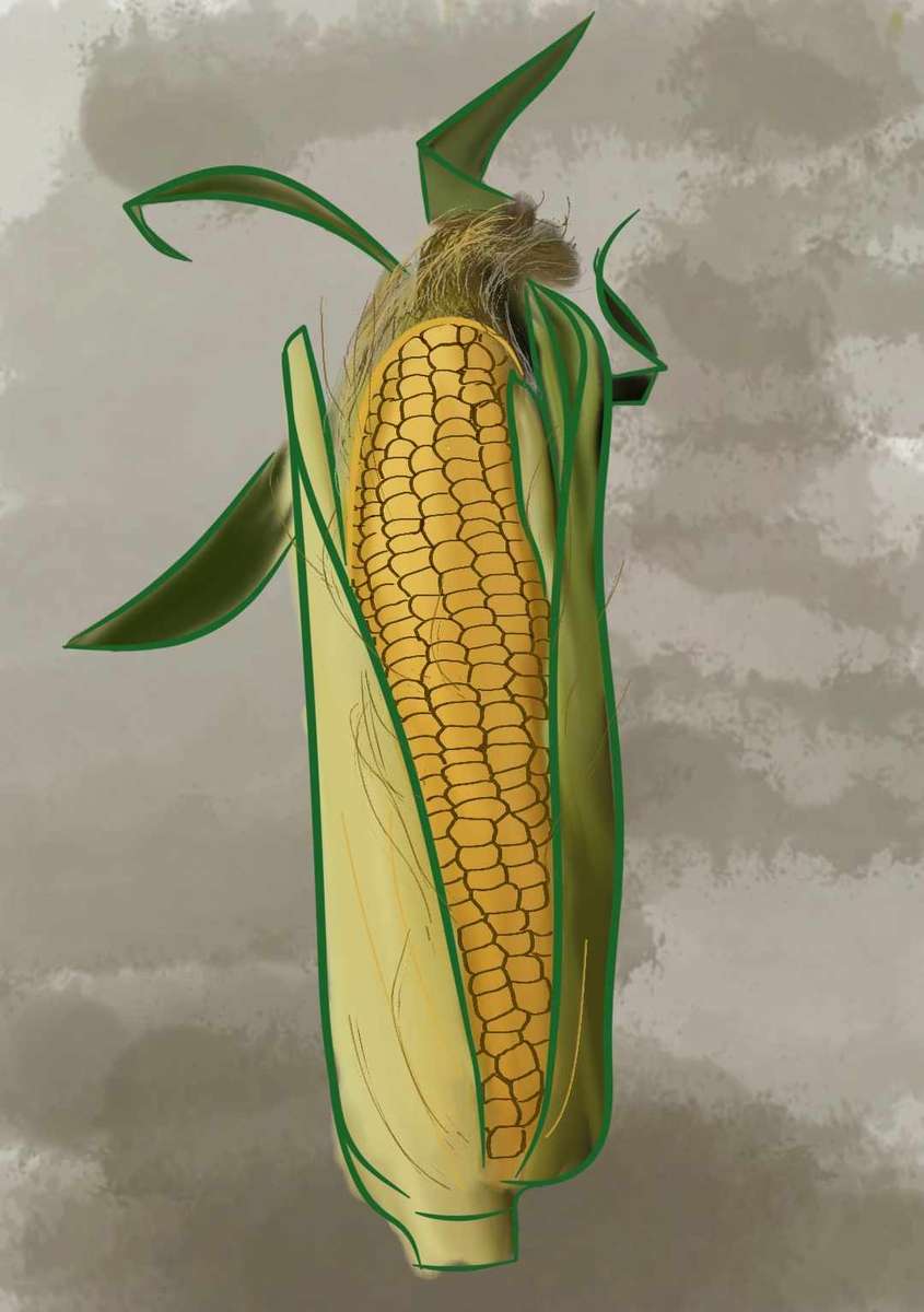 rompecabezas de maíz rompecabezas en línea
