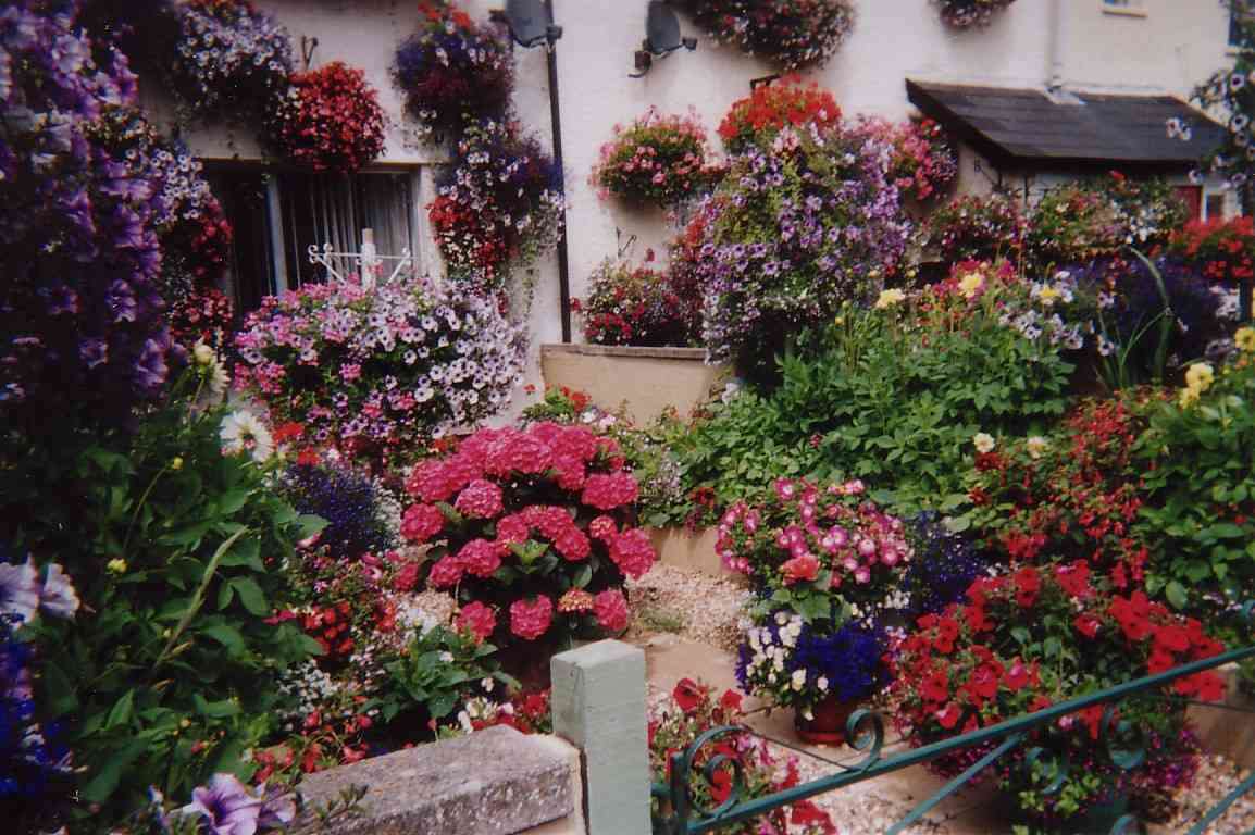<Цъфтящи цветя> онлайн пъзел от снимка