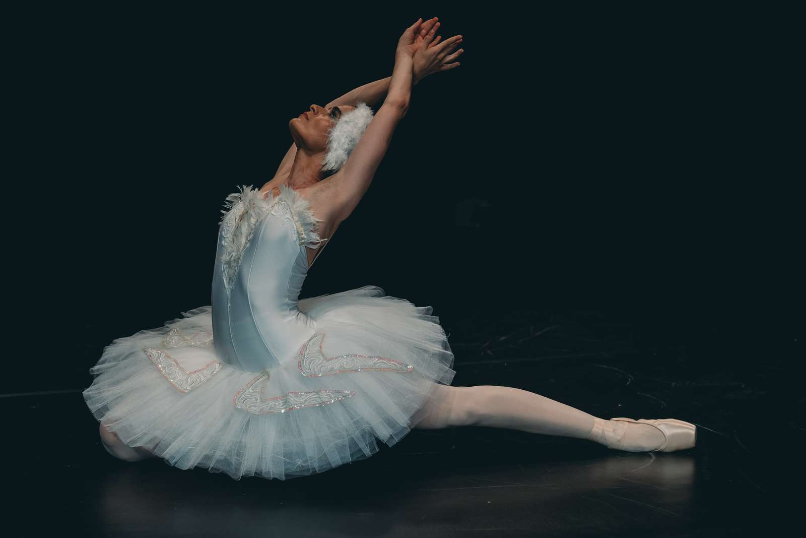 Seara de balet si dans contemporan puzzle online din fotografie