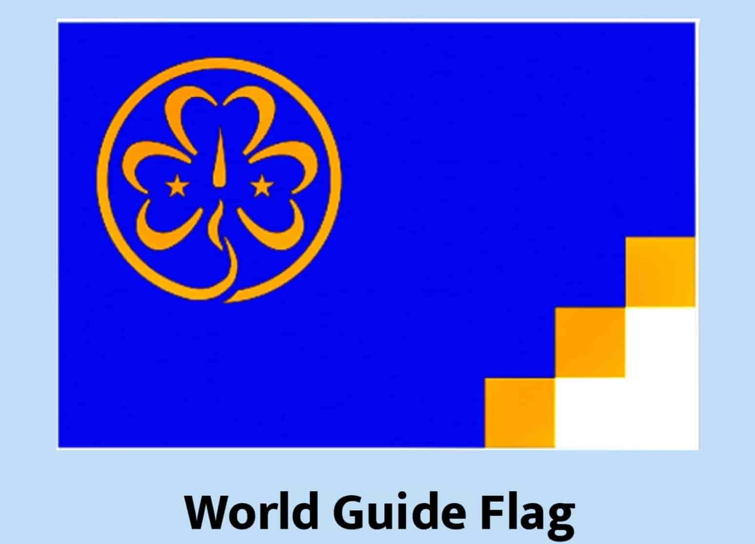 Флаг мирового гида онлайн-пазл