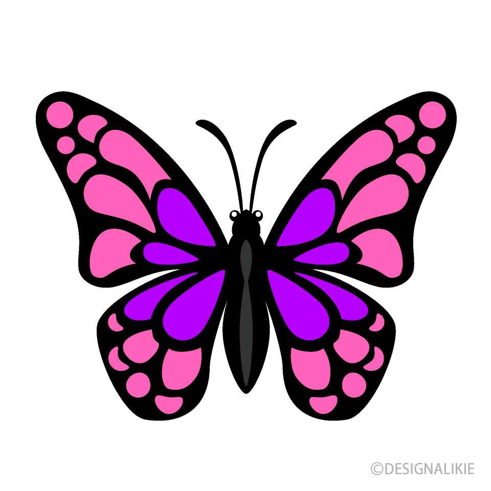 Метелик онлайн пазл