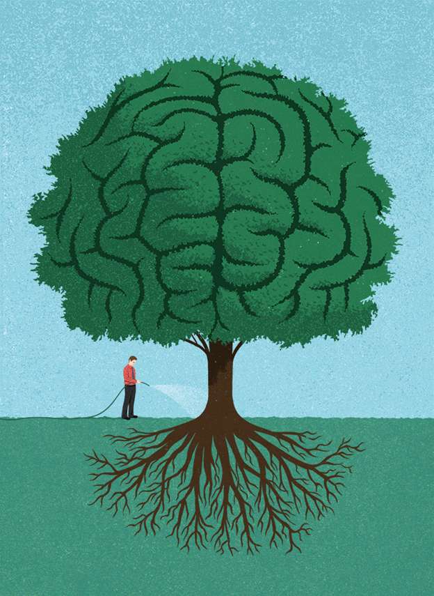 árbol del cerebro puzzle online a partir de foto