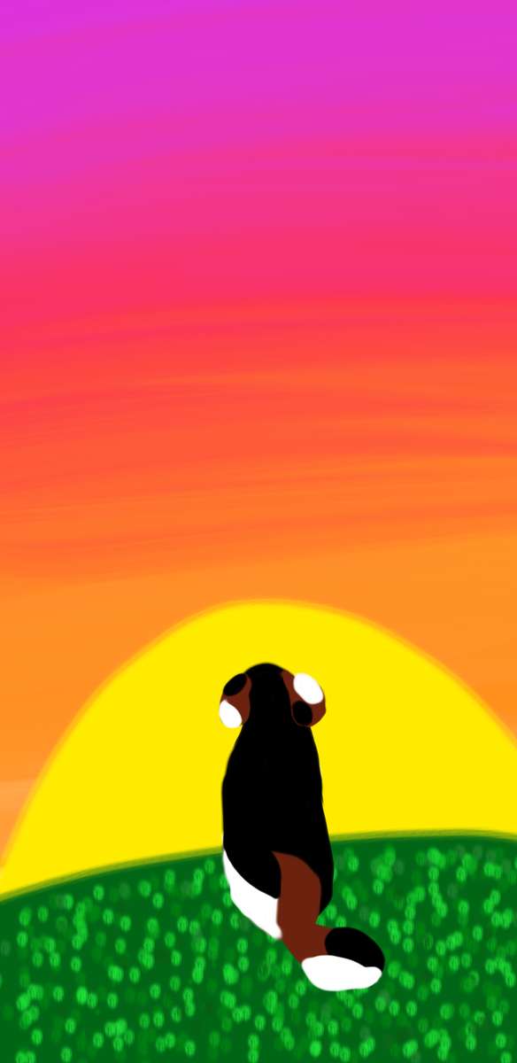 Cachorro olhando o pôr do sol, em busca de patches <3 puzzle online