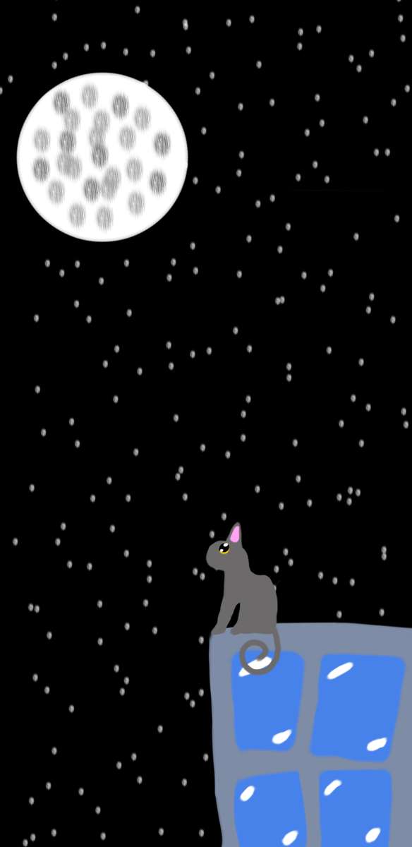 pisica se uita la luna :) puzzle online din fotografie