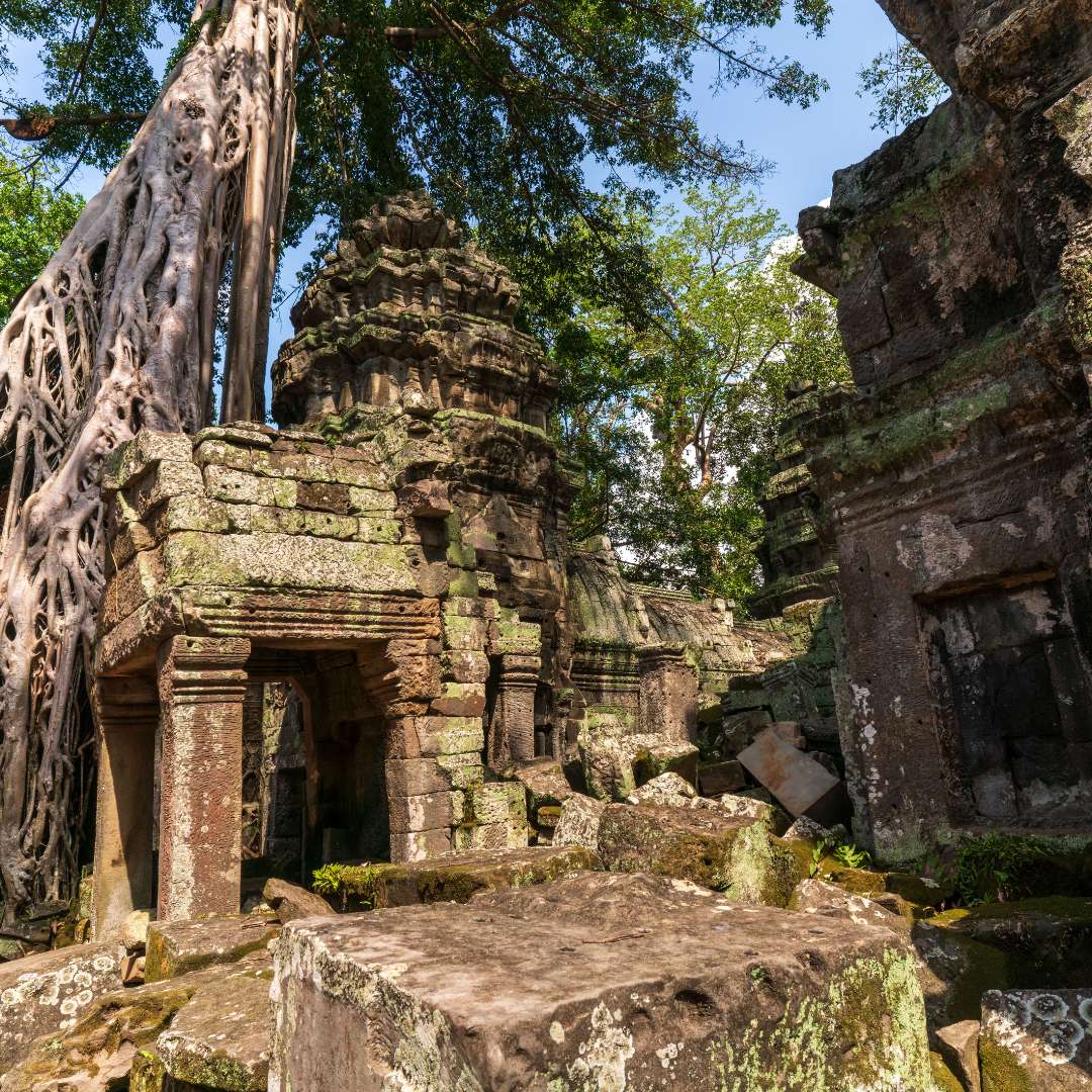 Ta Prohm rompecabezas en línea