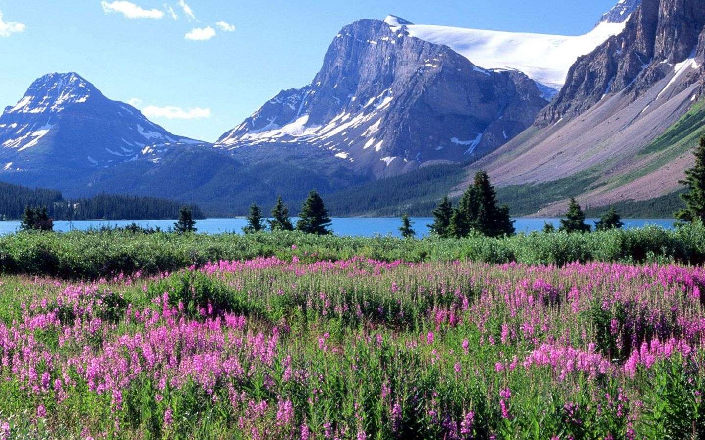 mountains_trees_flowers_lake_canada_glade_8245_144 онлайн пазл