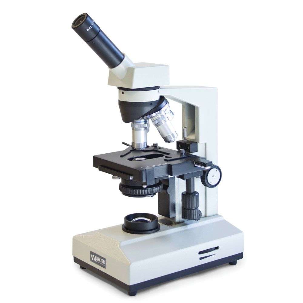 mikroskop Pussel online