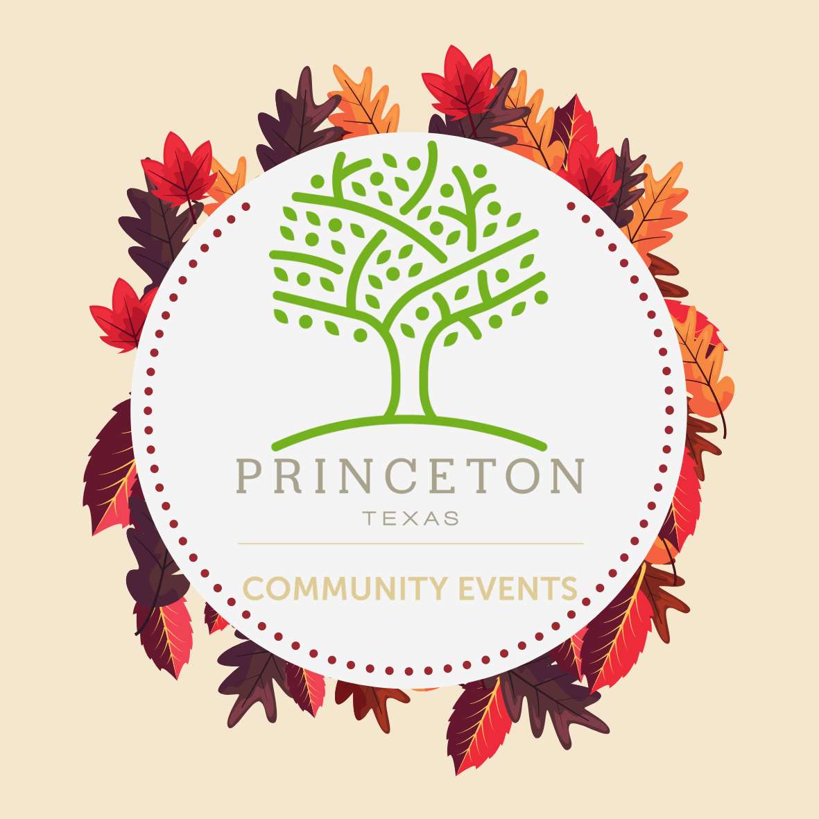 Princeton Pussel online
