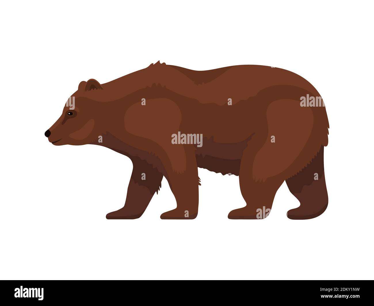 Bonjour ours puzzle en ligne à partir d'une photo