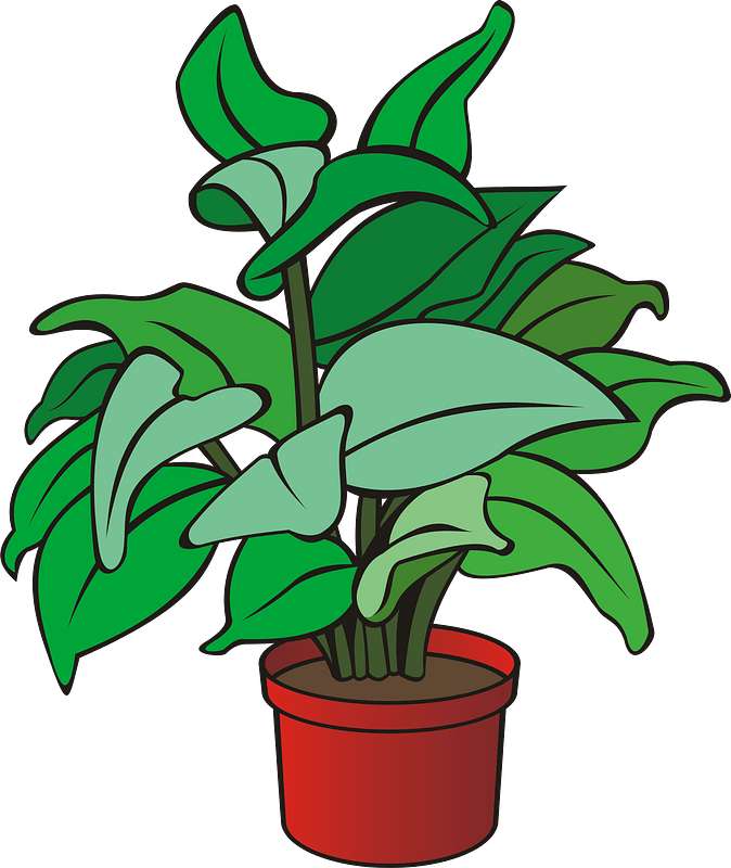 Растение в саксия онлайн пъзел