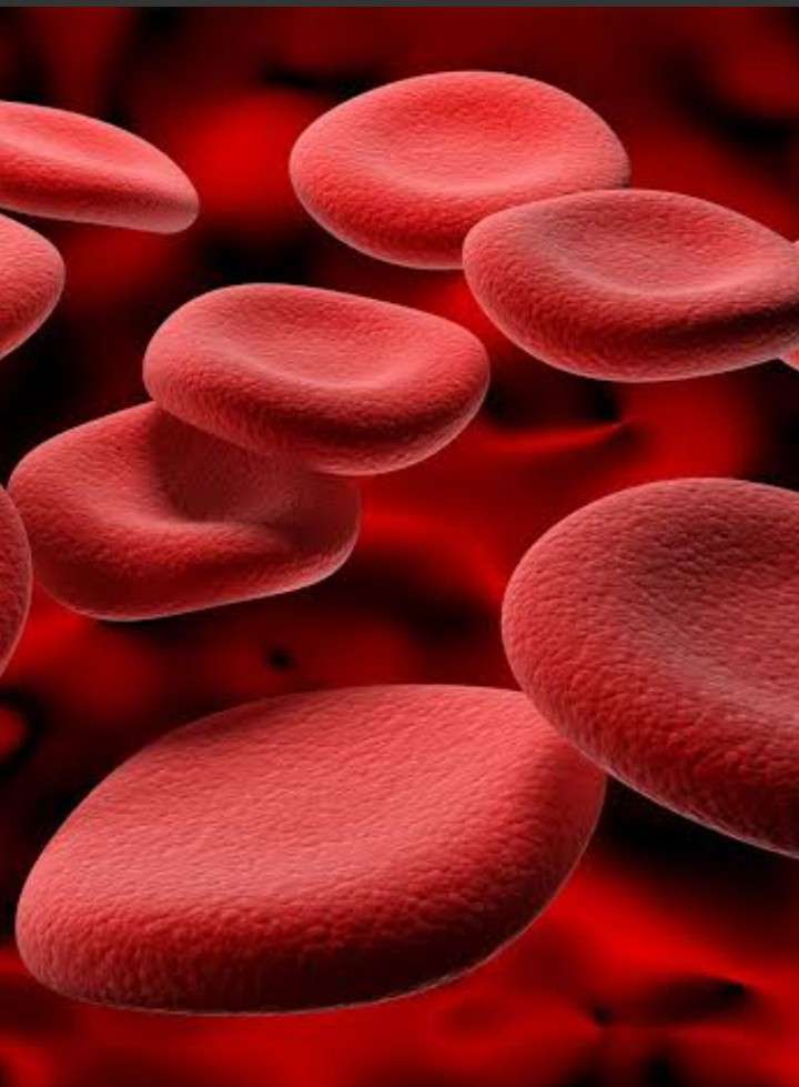 Rätsel um Blutbestandteile Online-Puzzle