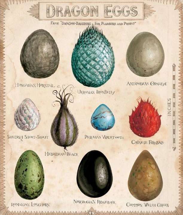 Драконови яйца онлайн пъзел от снимка