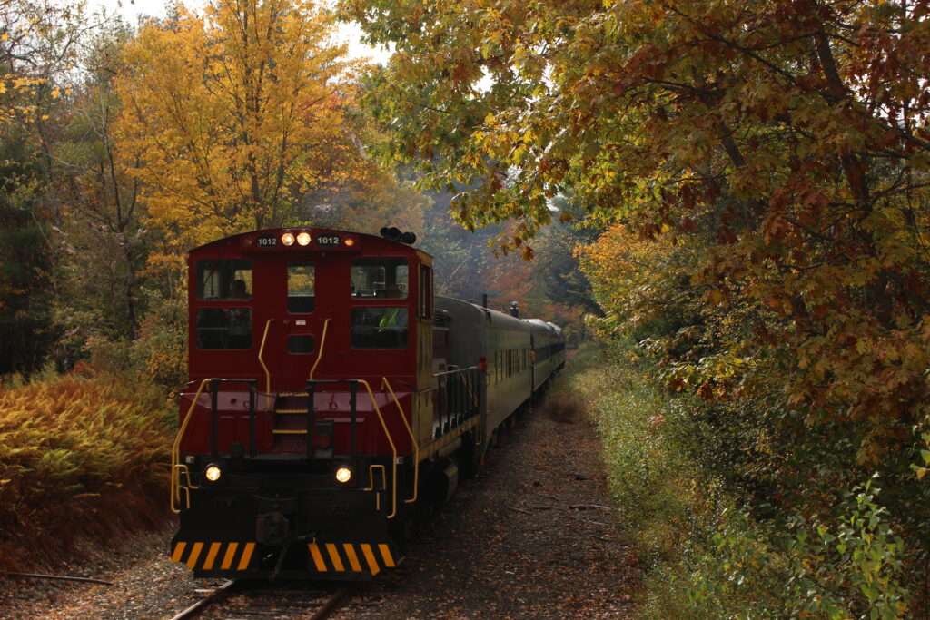 Train Autumn online puzzle