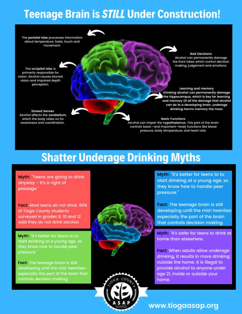 alcoolul creierului adolescentului puzzle online din fotografie
