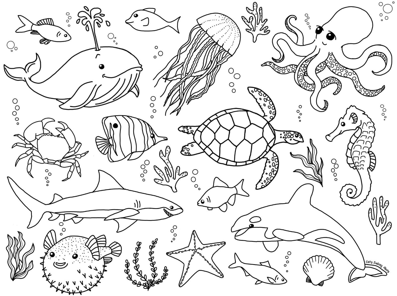 sea life puzzle online from photo