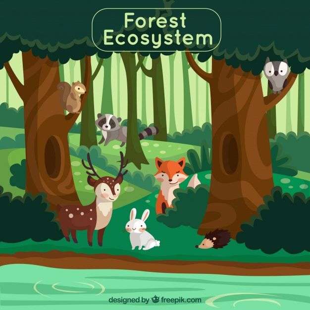 Habitat forestier puzzle en ligne