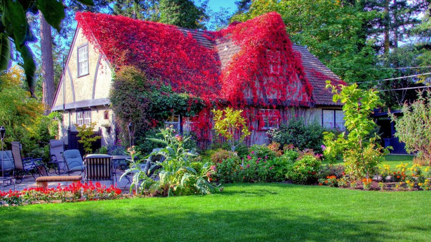 Cottage couvert rouge puzzle en ligne