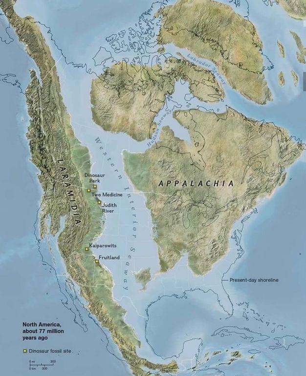 Észak Amerika puzzle online fotóról