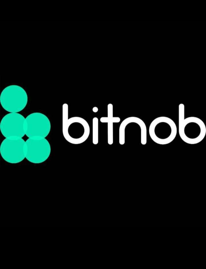 Jigsaw puzzle for Bitnob logo puzzle online from photo