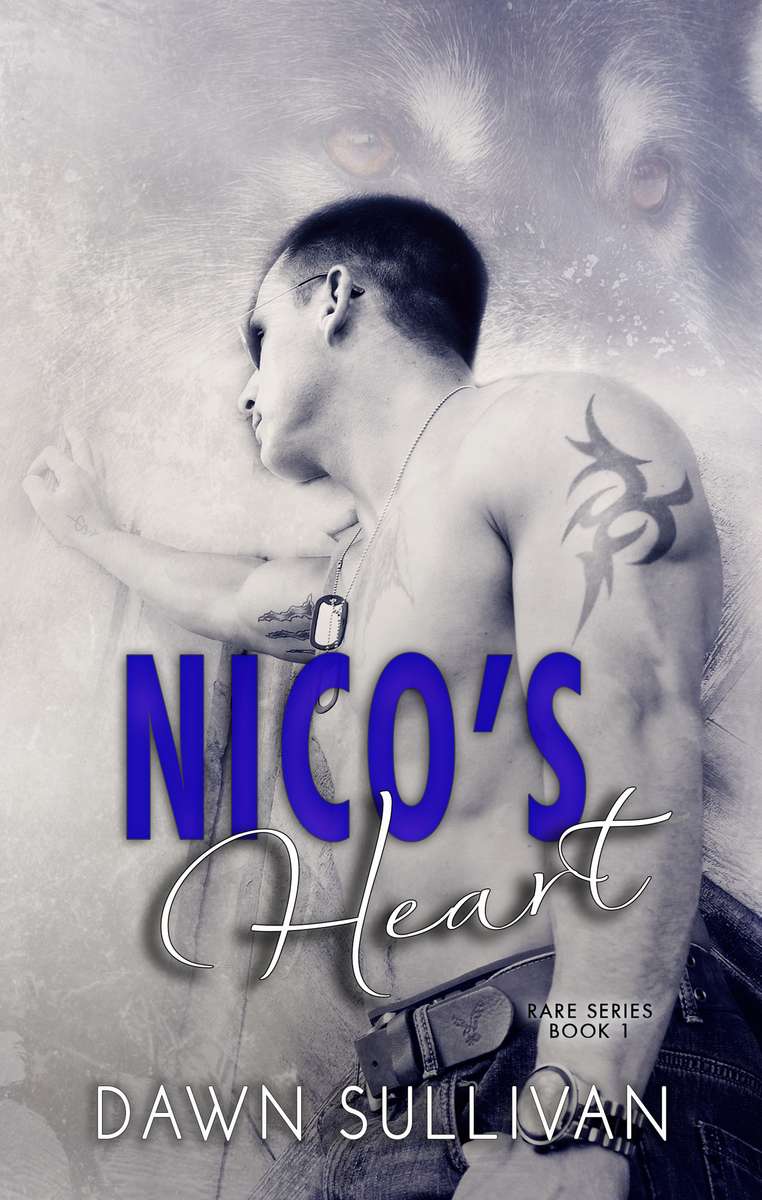 Nicovo srdce online puzzle