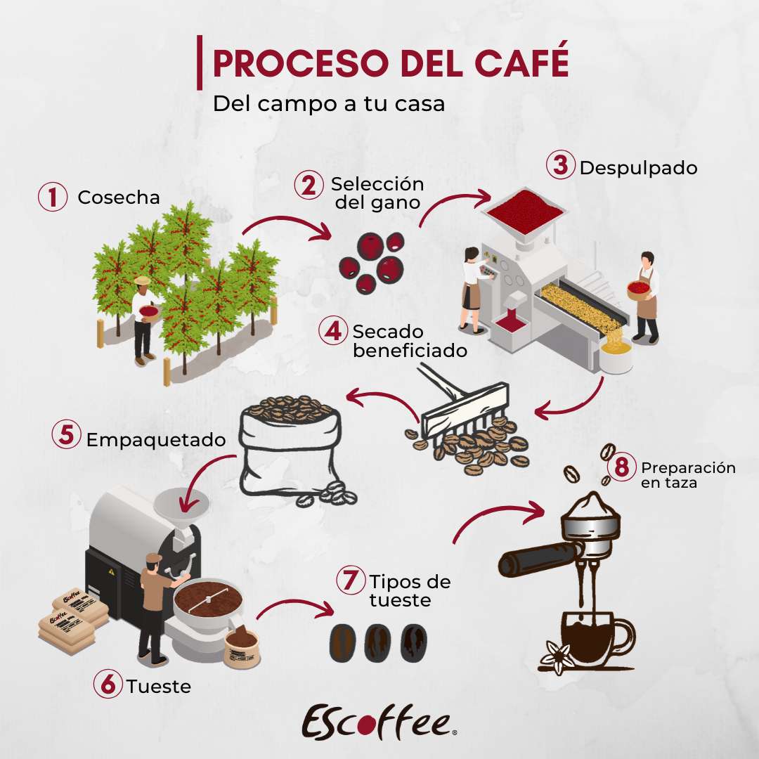 coffee process online puzzle