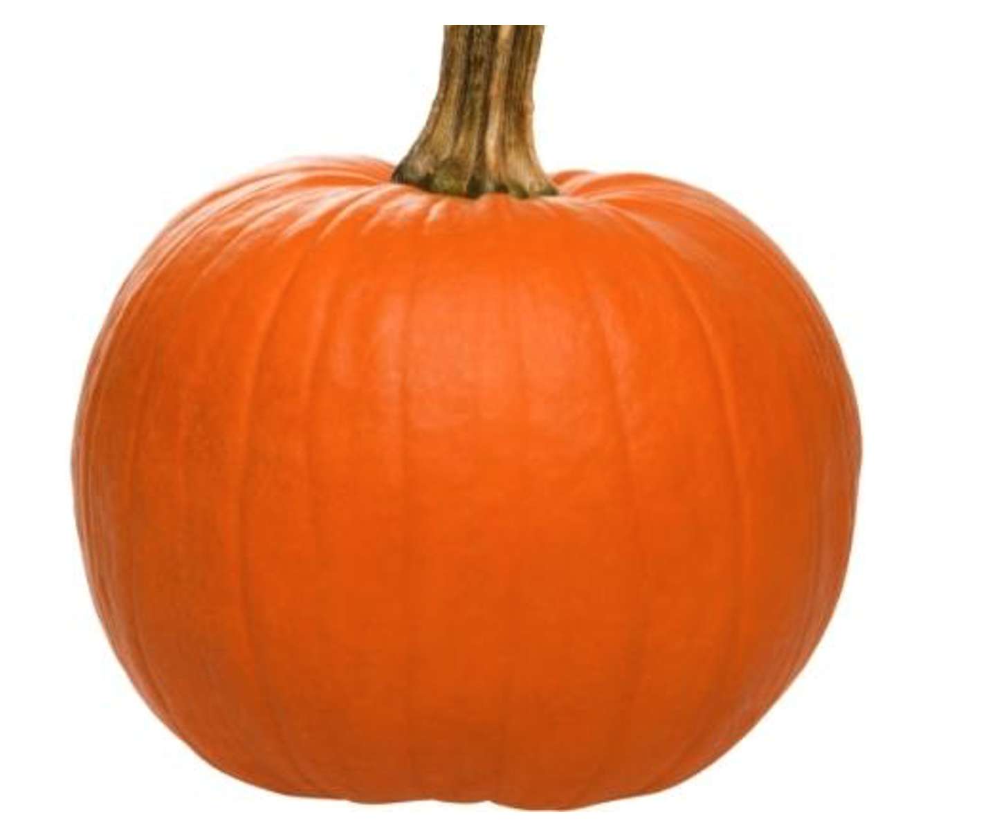 幼稚園用のかぼちゃ 写真からオンラインパズル