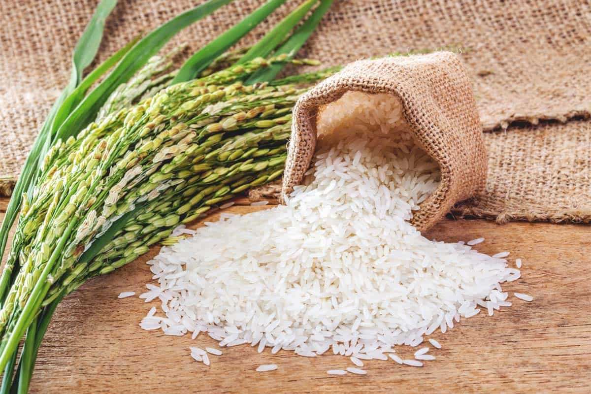 grano de arroz puzzle online a partir de foto