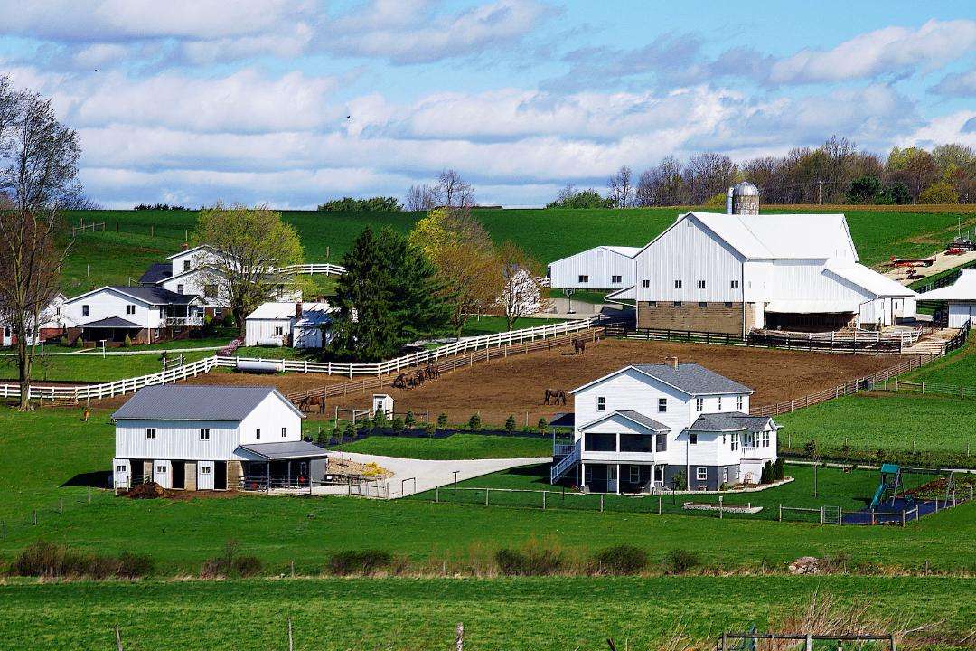 Amish-boerderij online puzzel