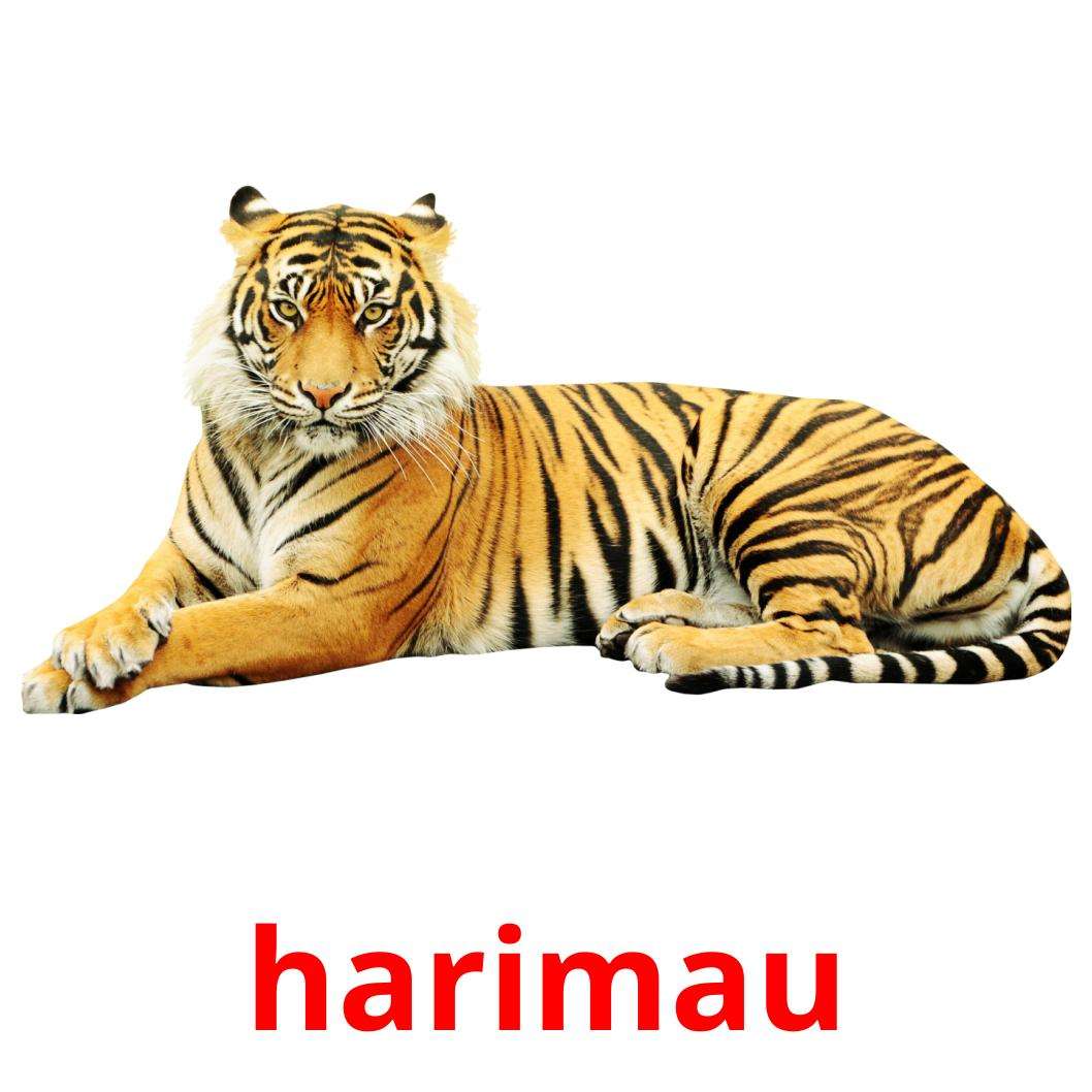χαριτωμένη τίγρη online παζλ