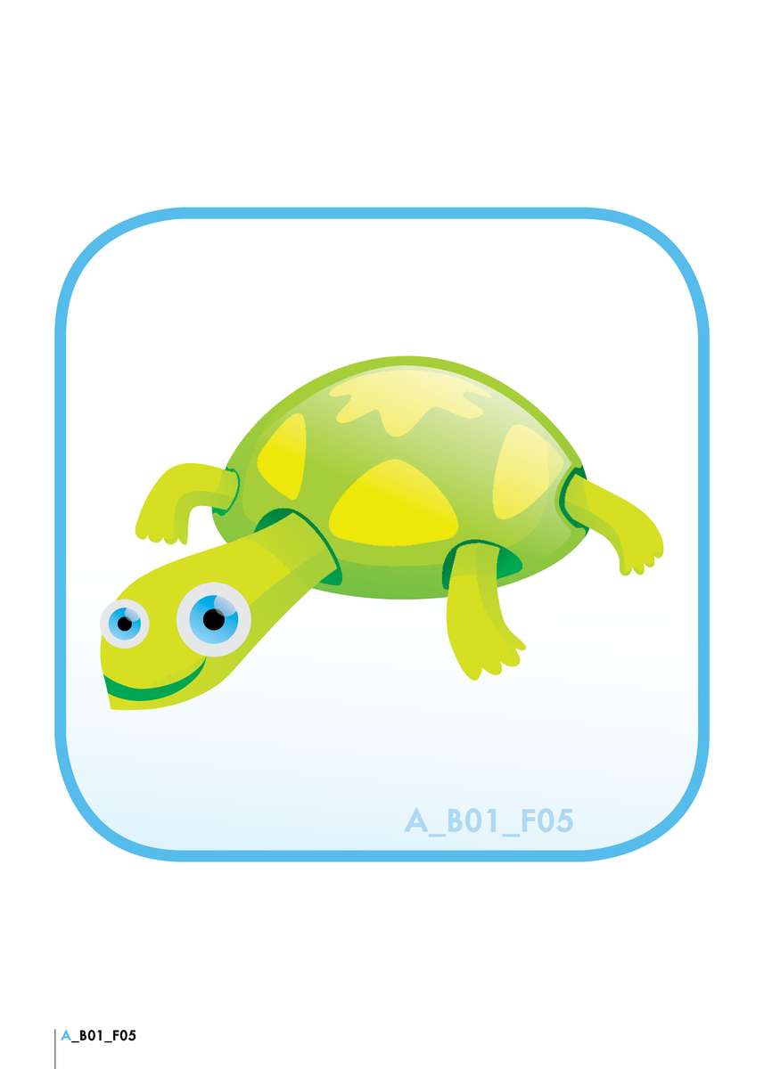 Schildkröten-Puzzle Online-Puzzle