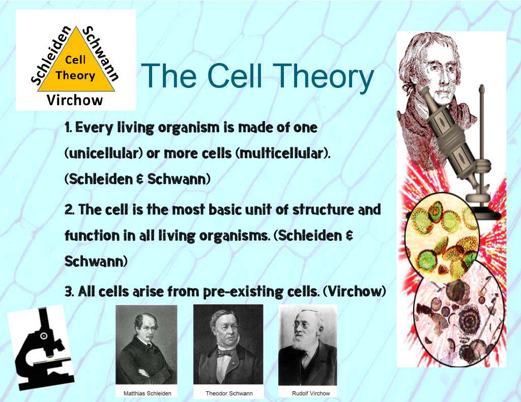 Клетъчната теория онлайн пъзел от снимка
