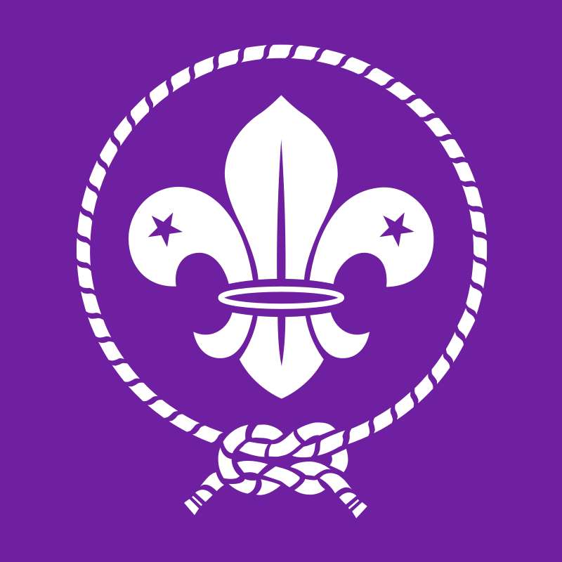 World Scout puzzle online from photo