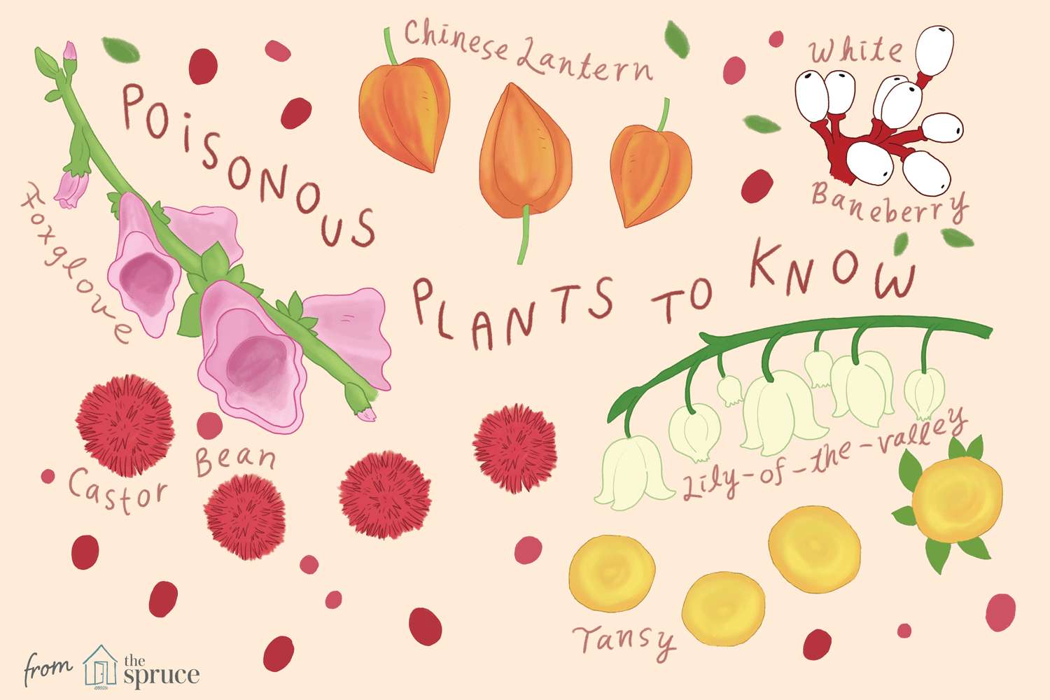 有毒植物 写真からオンラインパズル