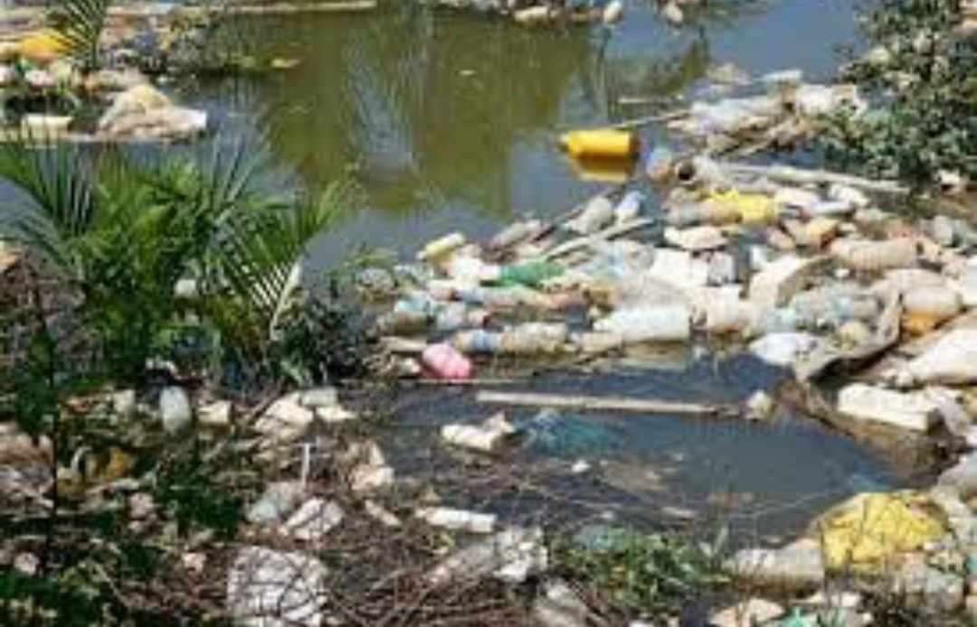 замърсяване на водите онлайн пъзел
