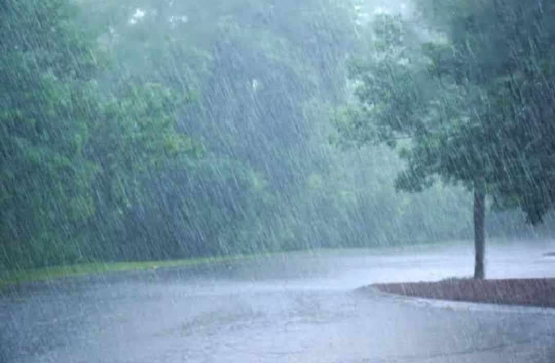 обилен дъжд онлайн пъзел от снимка