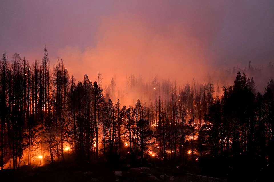 φωτιά δάσους online παζλ