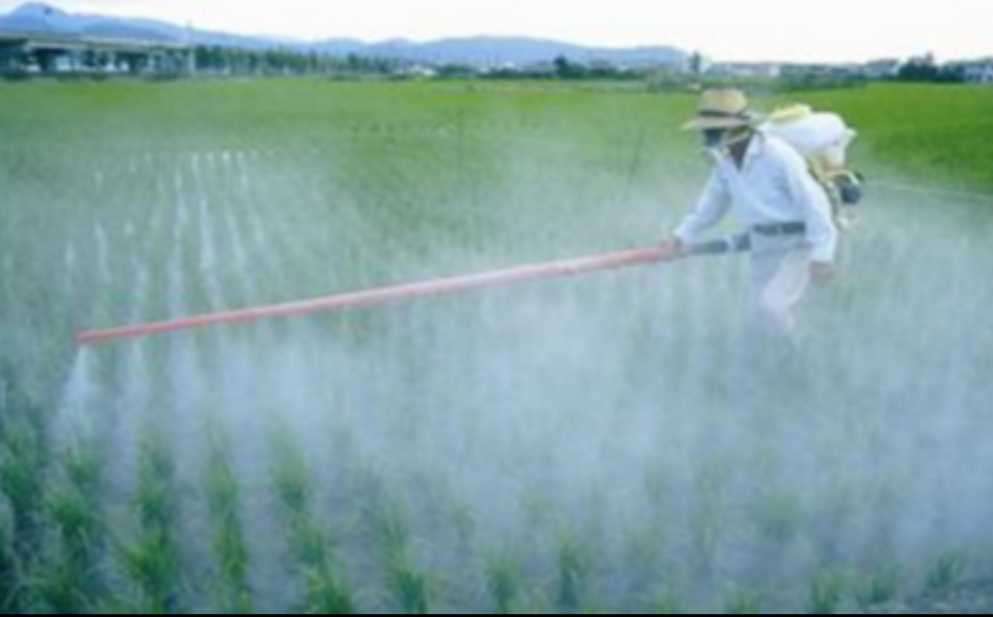 nitrogen fertilizer puzzle online from photo