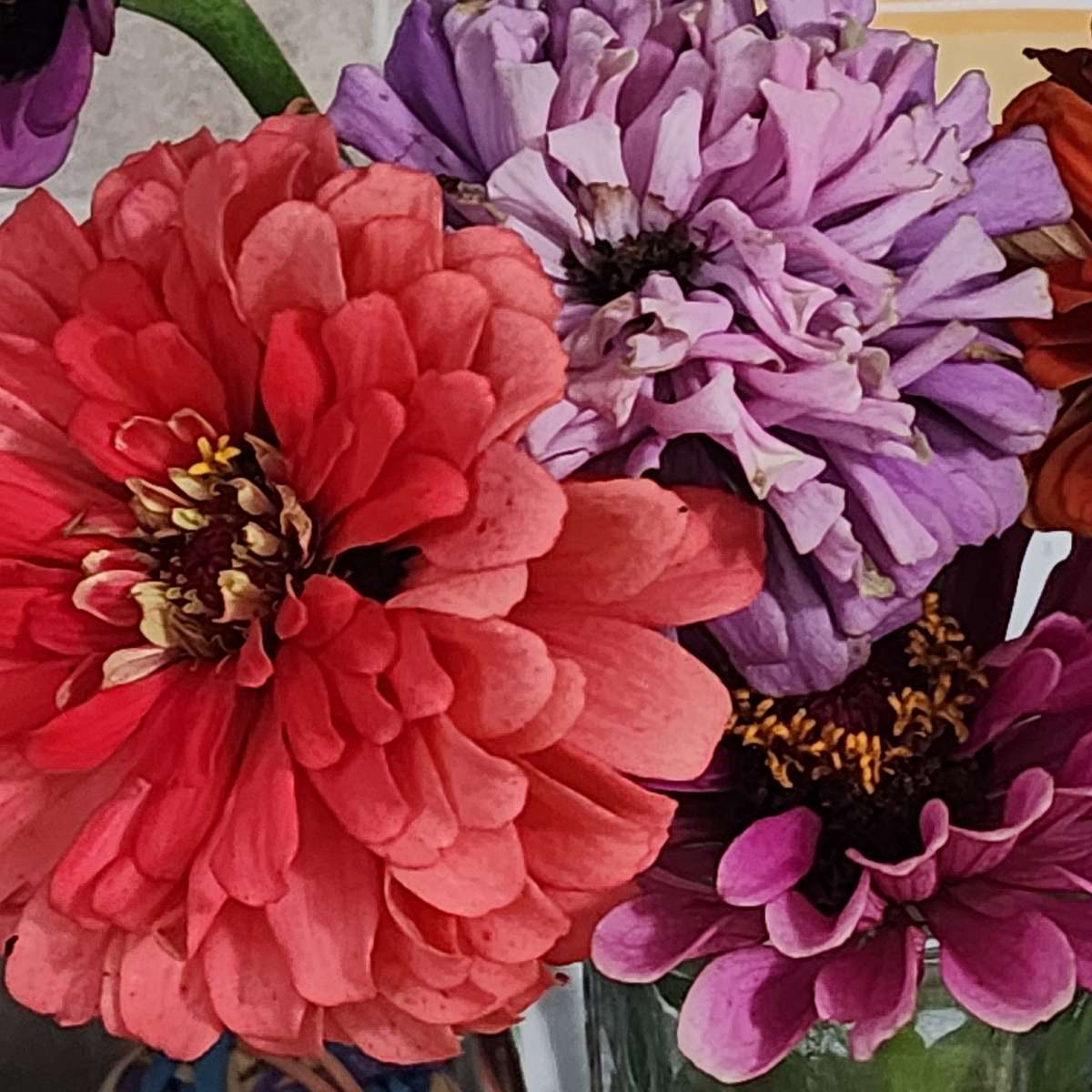Летние цветы онлайн-пазл