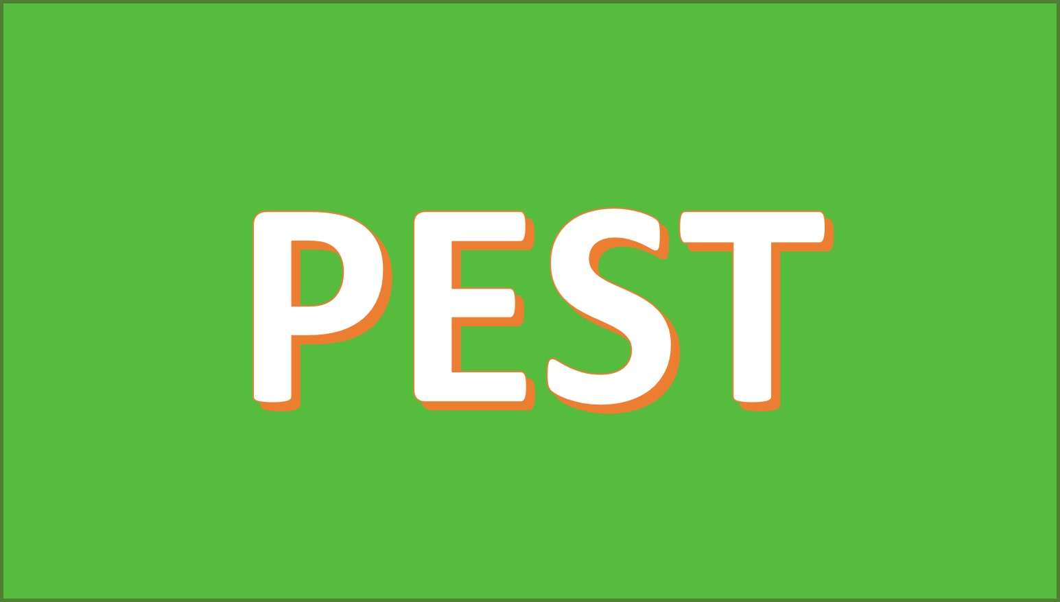 PEST Analisys puzzle online from photo