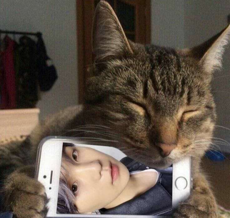 yoongi kat puzzel online van foto