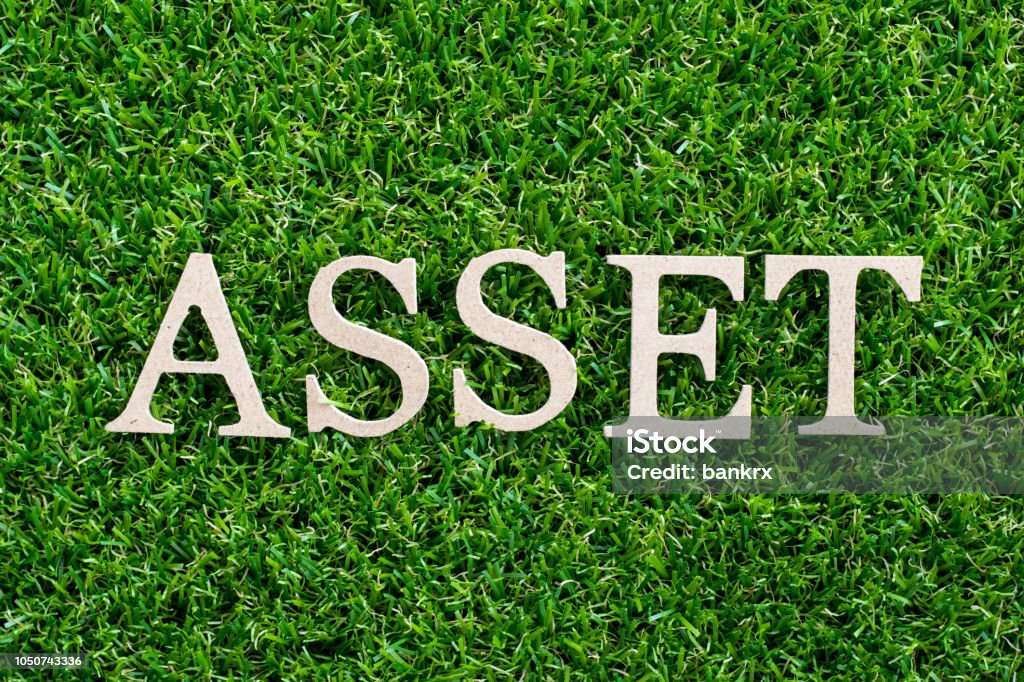 assets-accounting puzzle online from photo