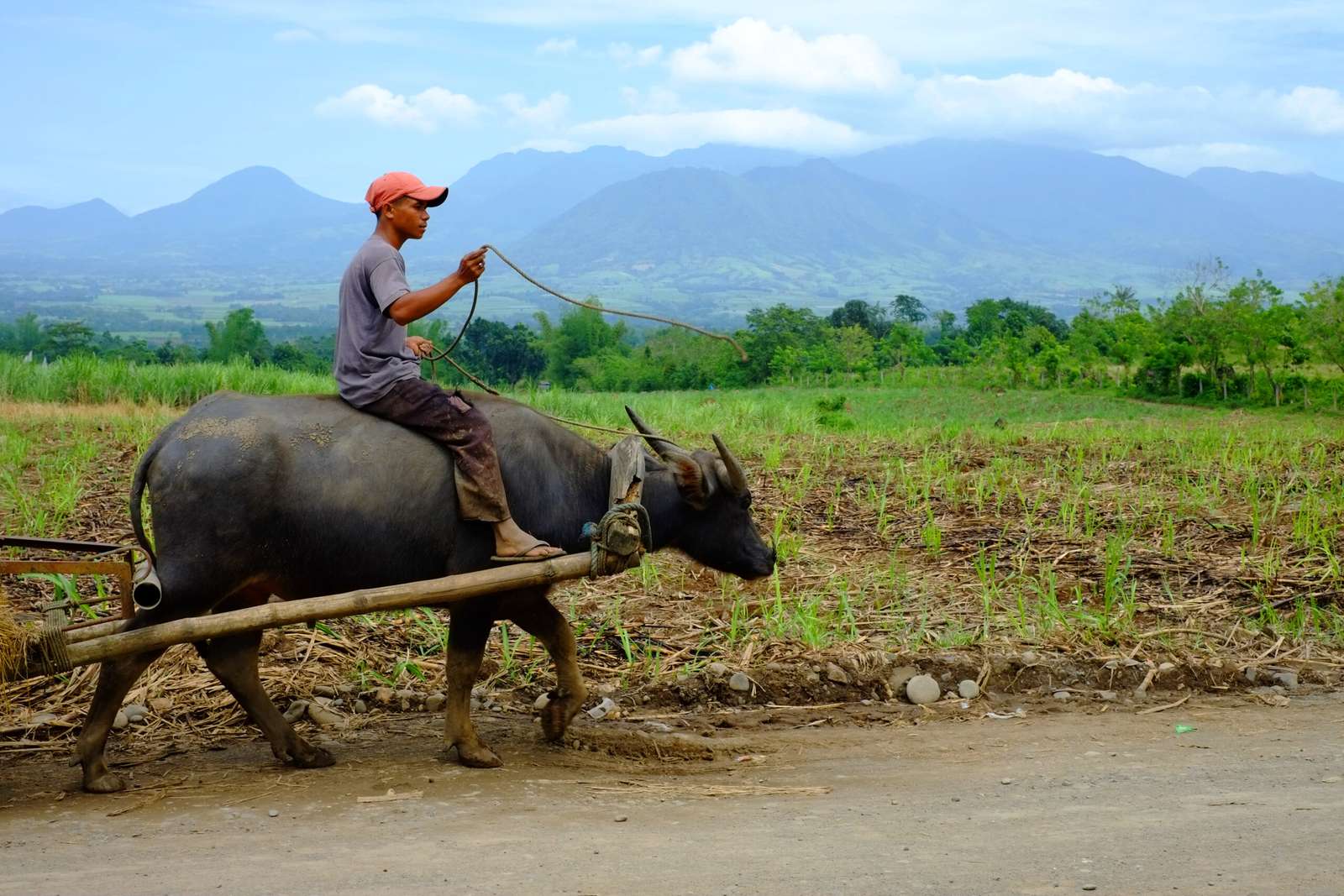 agriculteur aux Philippines puzzle en ligne à partir d'une photo