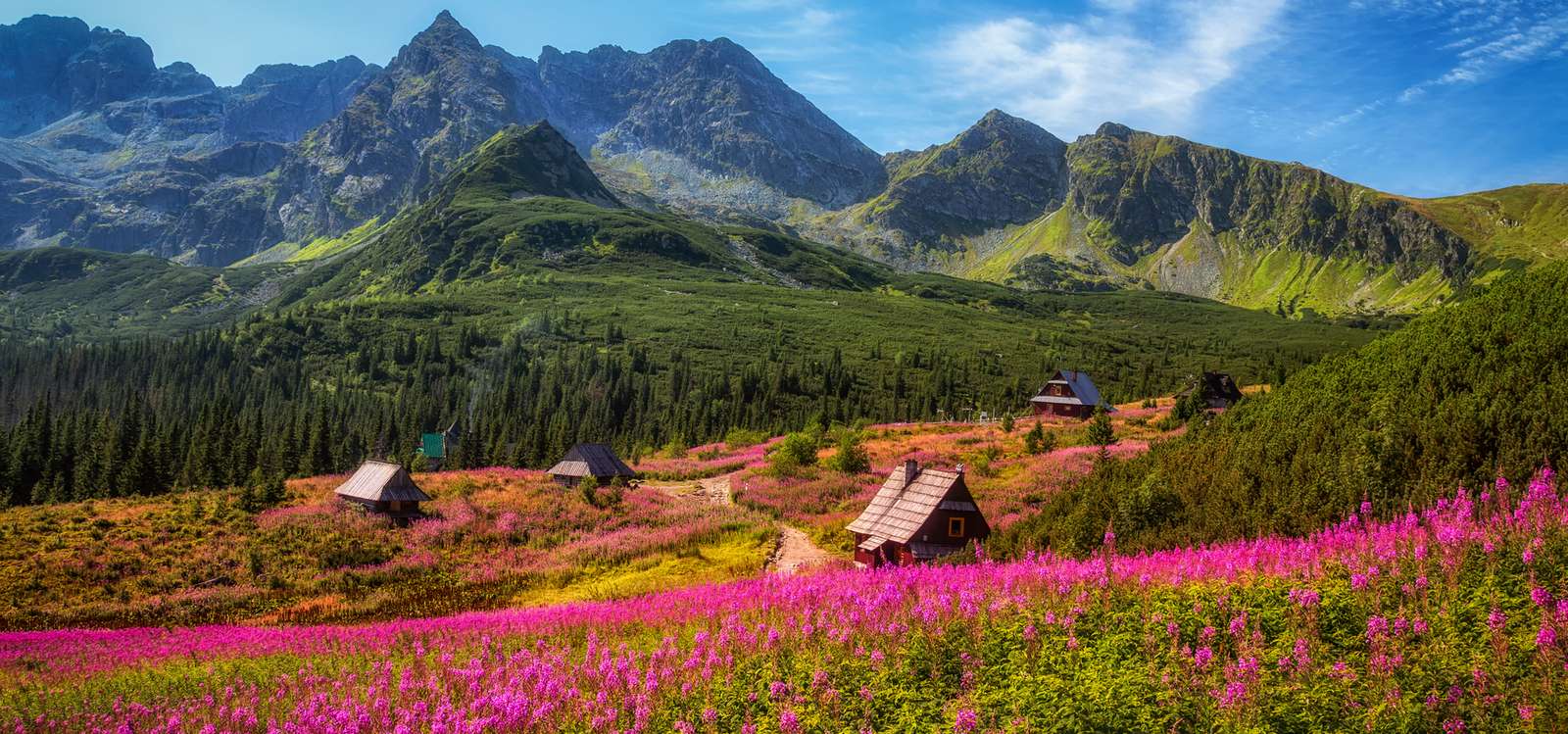 Спокойни полски планини онлайн пъзел