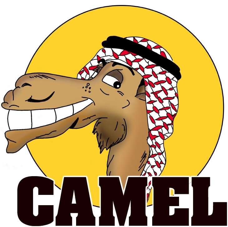 O camelo puzzle online a partir de fotografia