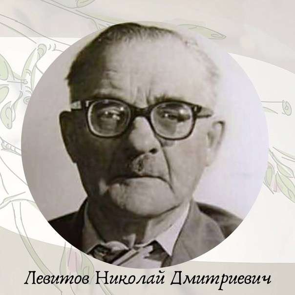 Levitov Nikolay Dmitrievich pussel online från foto