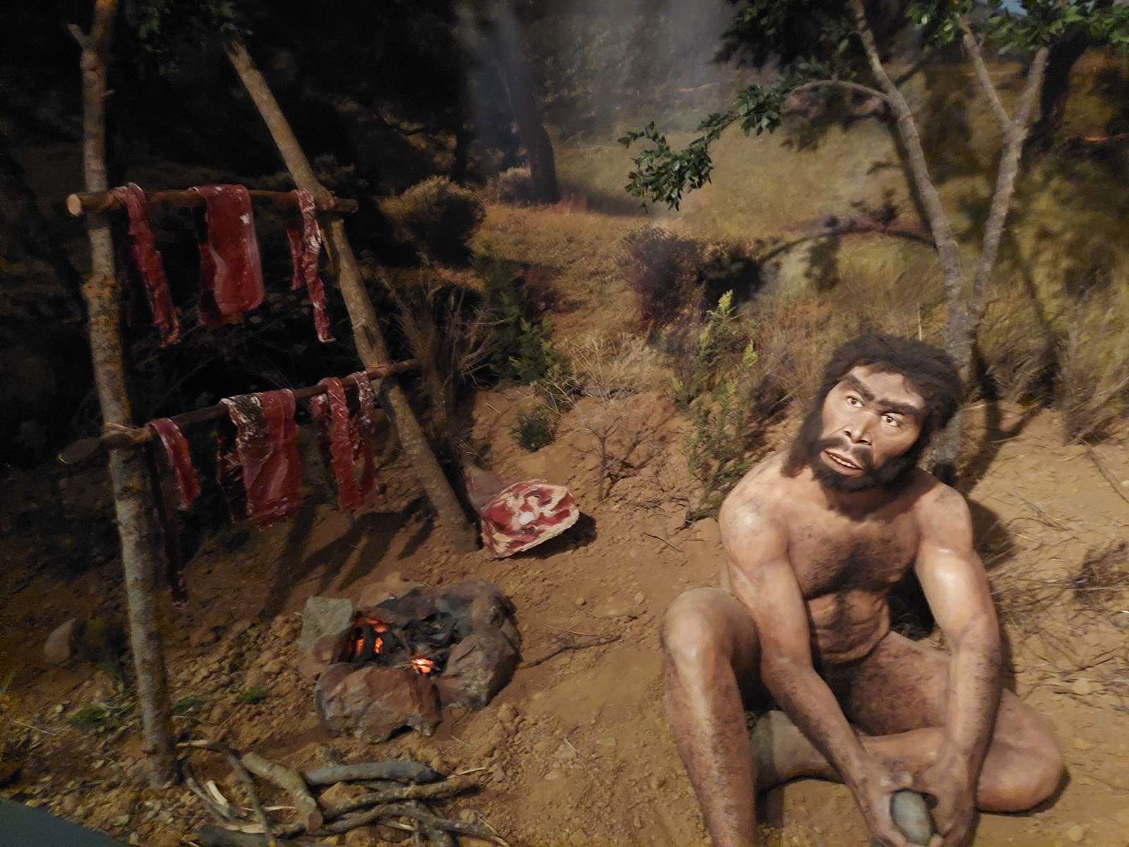 Neandertaler Online-Puzzle vom Foto