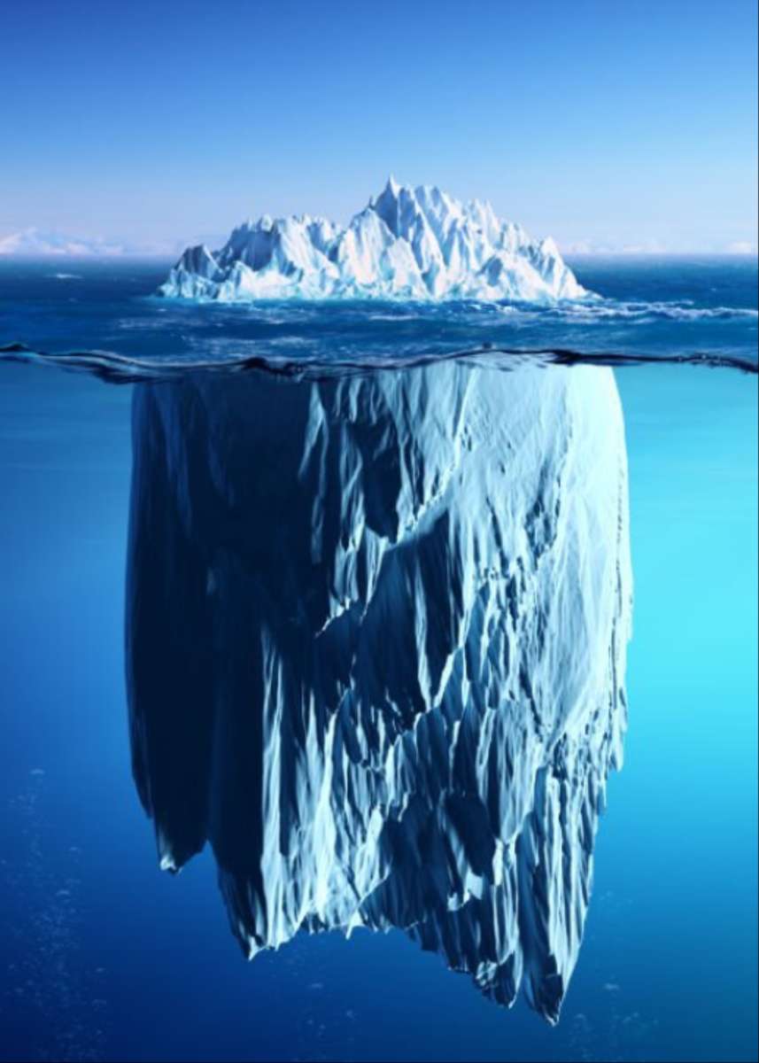 ijsberg1 online puzzel