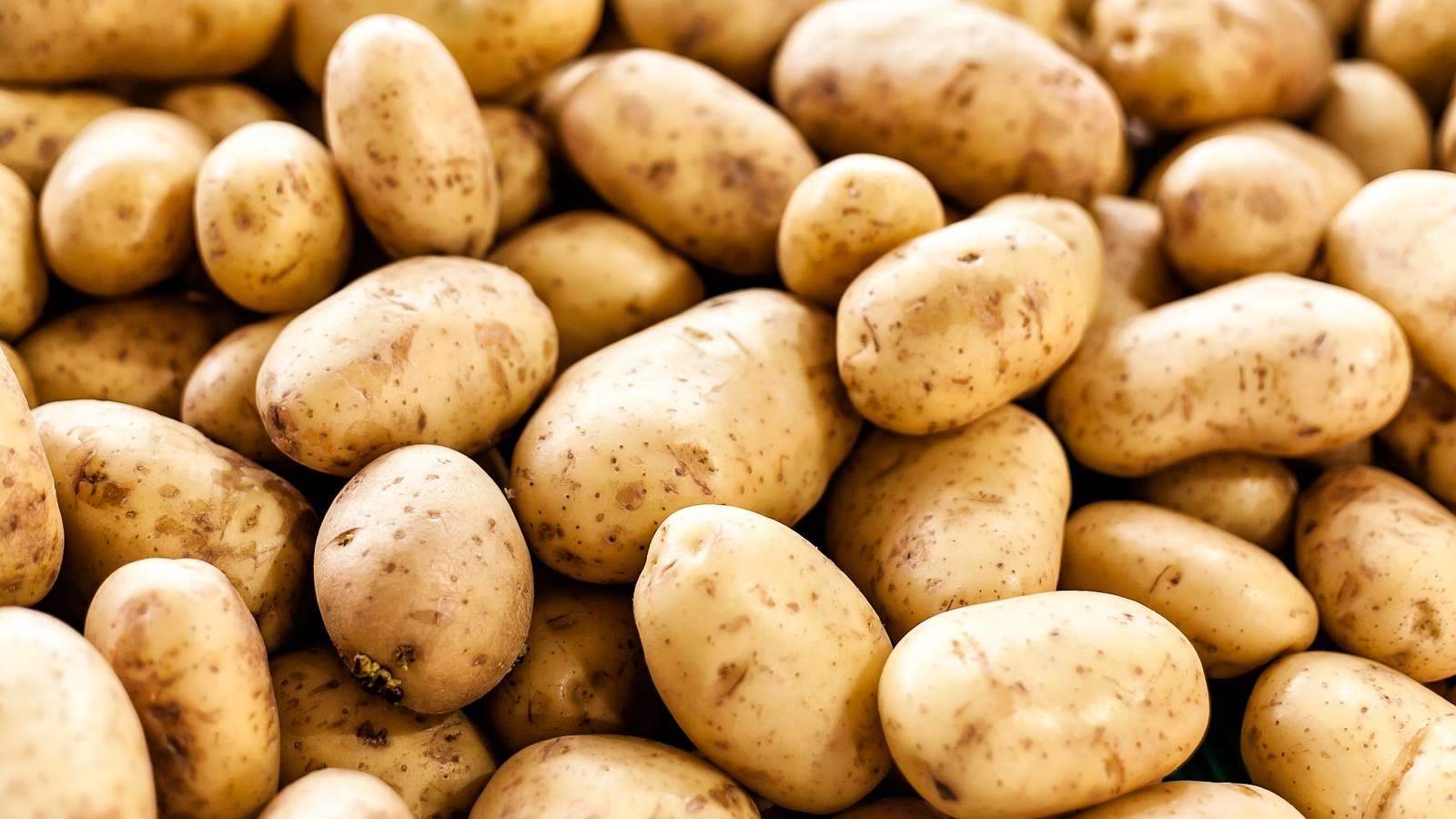 Potato jigsaw puzzle online from photo