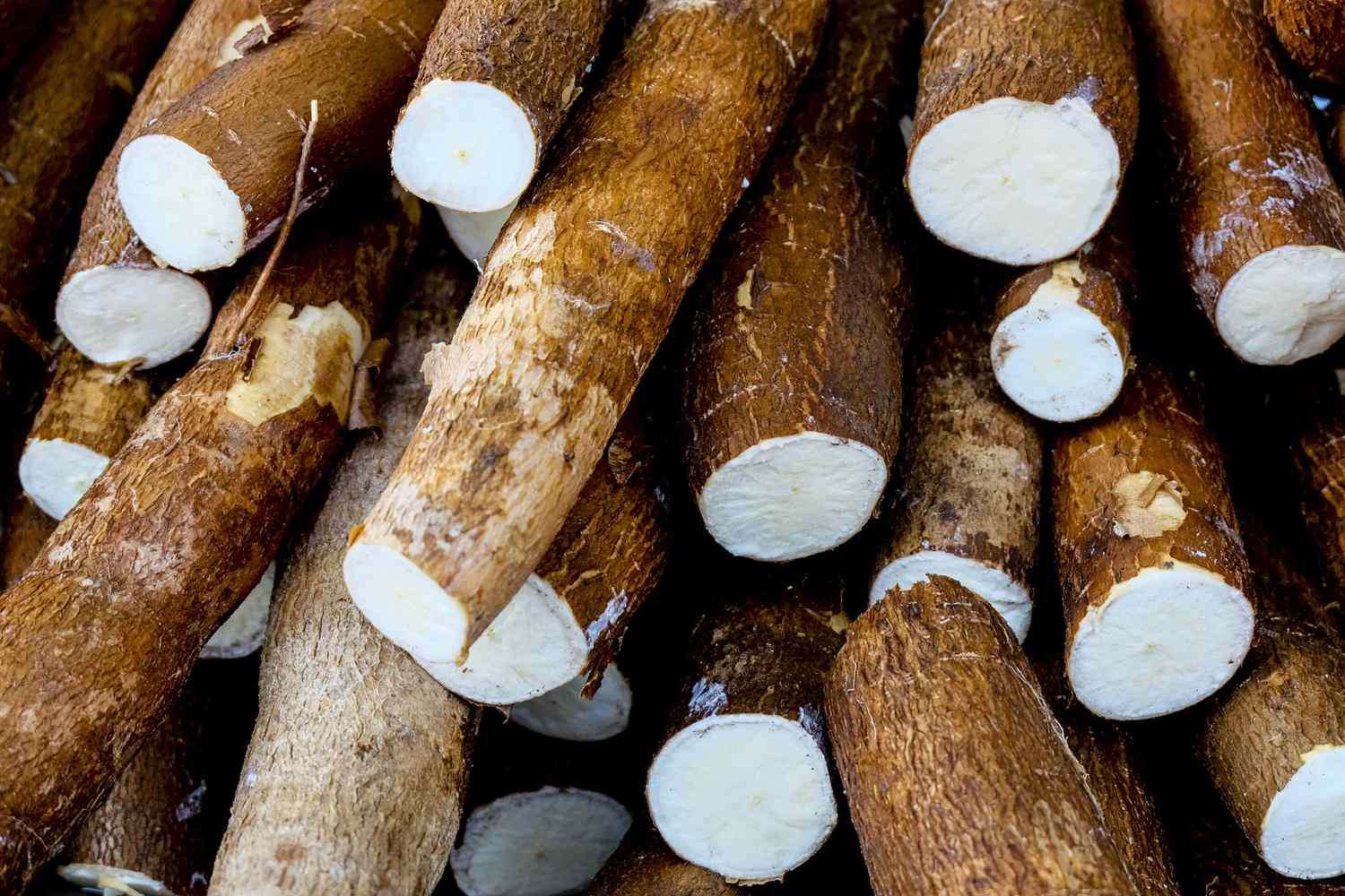 Cassava sticksåg Pussel online